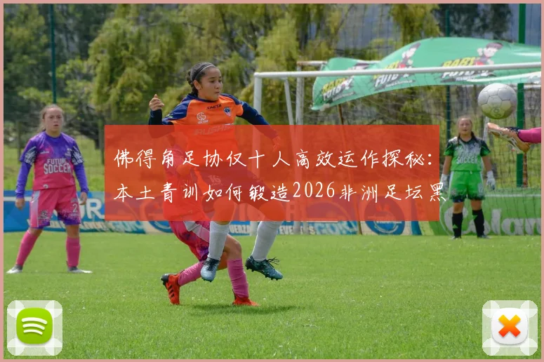 佛得角足协仅十人高效运作探秘:本土青训如何锻造2026非洲足坛黑马奇迹